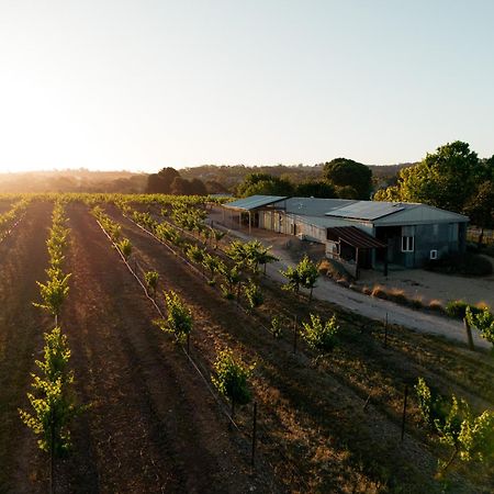 Bed In A Shed Vineyard Stay Watervale Exterior foto