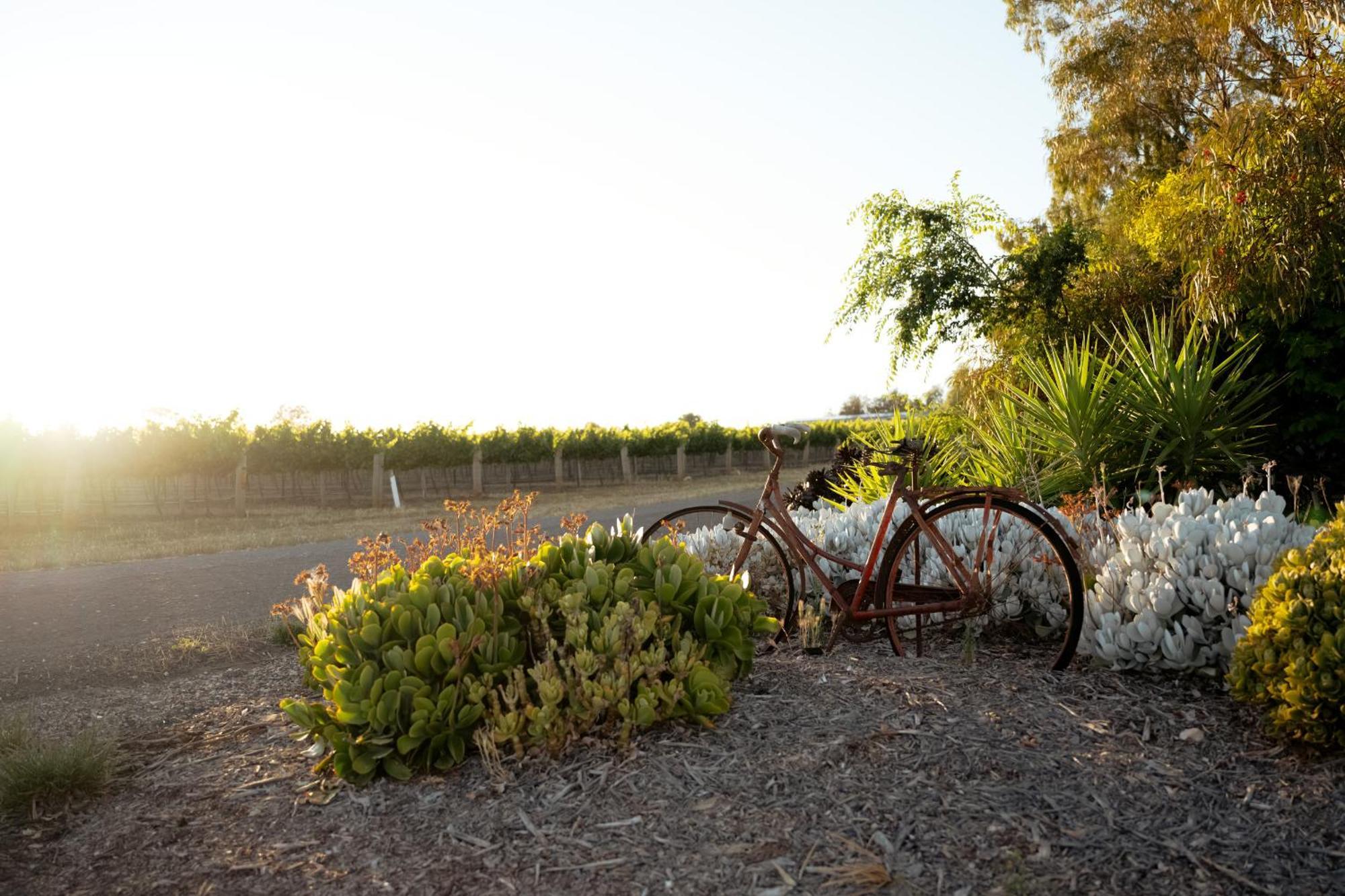 Bed In A Shed Vineyard Stay Watervale Exterior foto